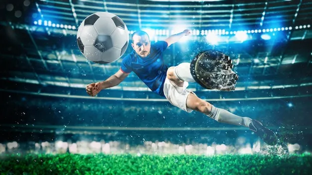 功能与数据展示 - 球盟会体育中心官网